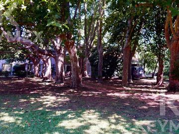 place photo 33