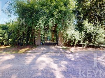 place photo 39