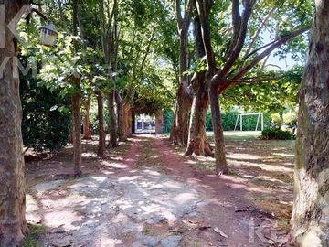 place photo 37
