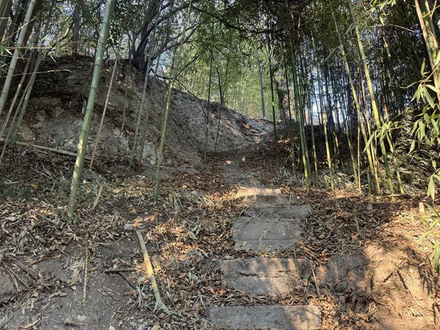 place photo 98