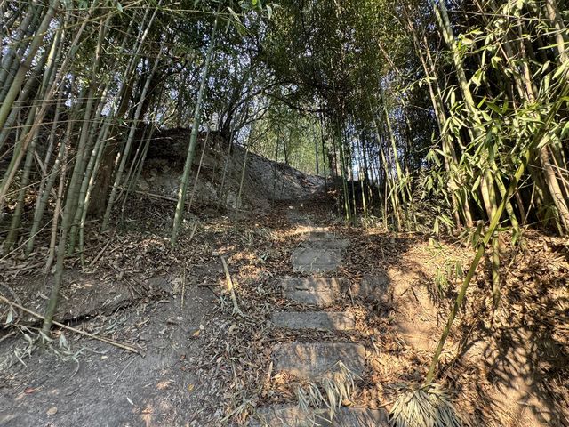place photo 97