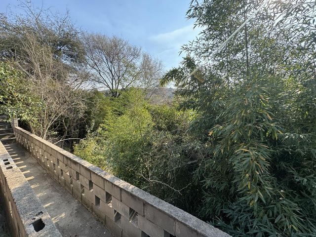 place photo 74