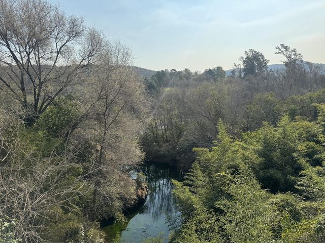 place photo 43
