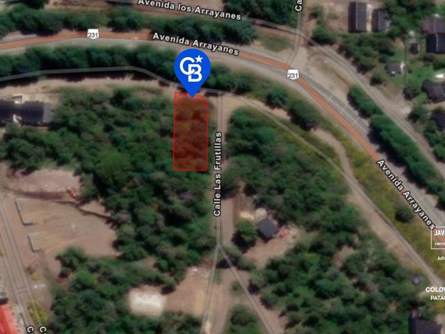 place photo 27