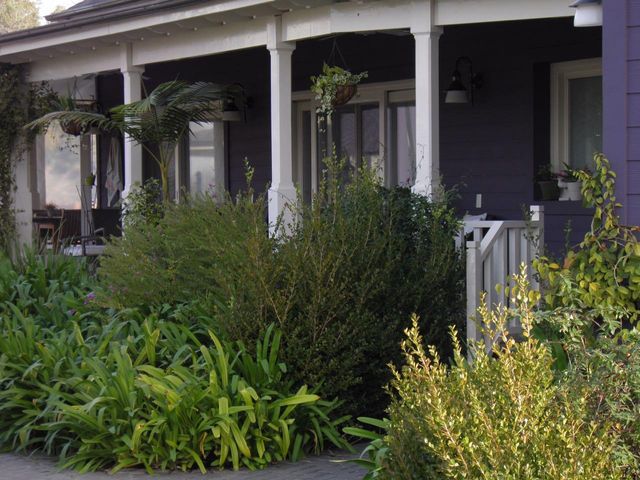 place photo 22