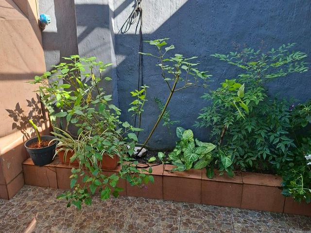 place photo 35