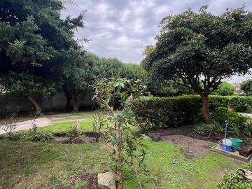 place photo 40