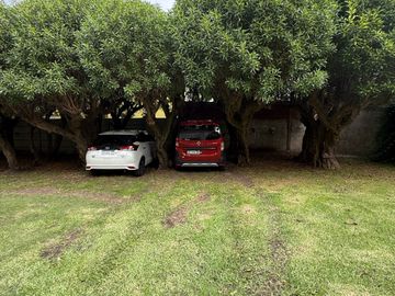 place photo 34