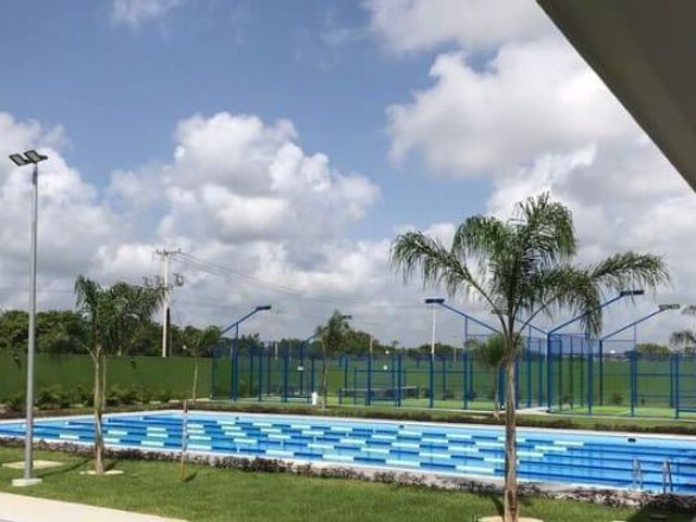place photo 28