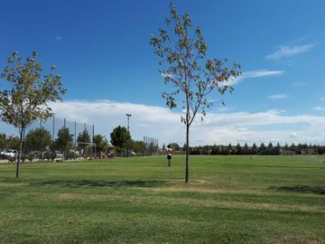 place photo 39