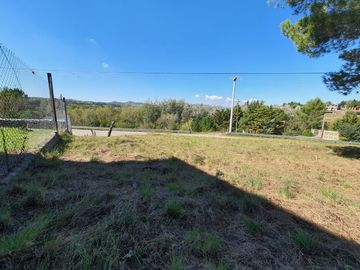 place photo 40