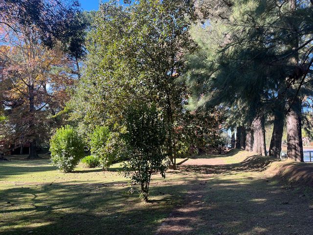 place photo 35