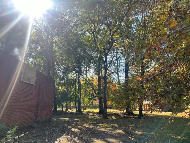 place photo 20