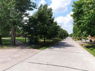 place photo 46