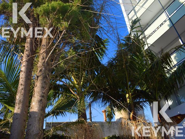 place photo 35