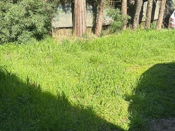 place photo 28