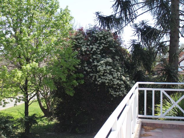 place photo 38