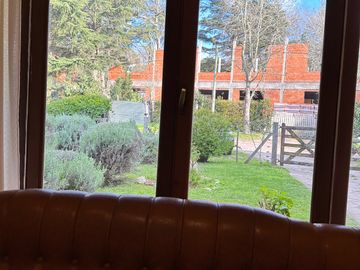 place photo 37