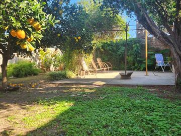 place photo 24