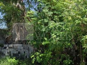 Terreno en Renta en Miguel Alemán, San Nicolas