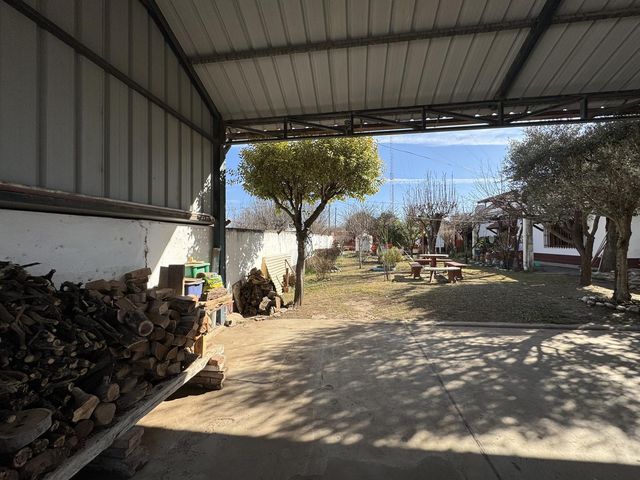 place photo 65