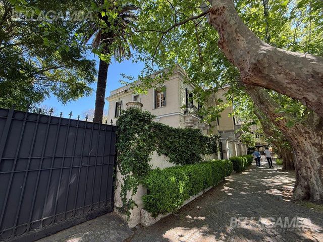 place photo 40