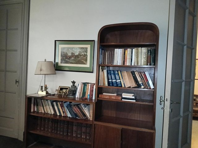place photo 14