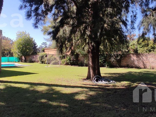place photo 46
