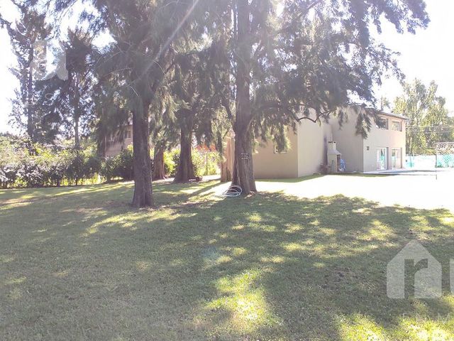place photo 43