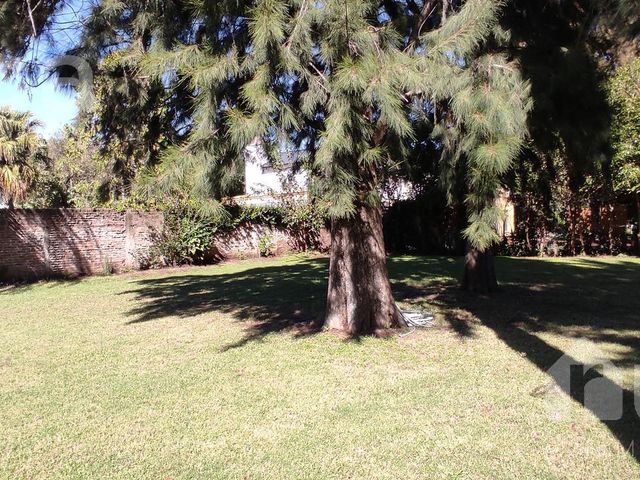 place photo 49