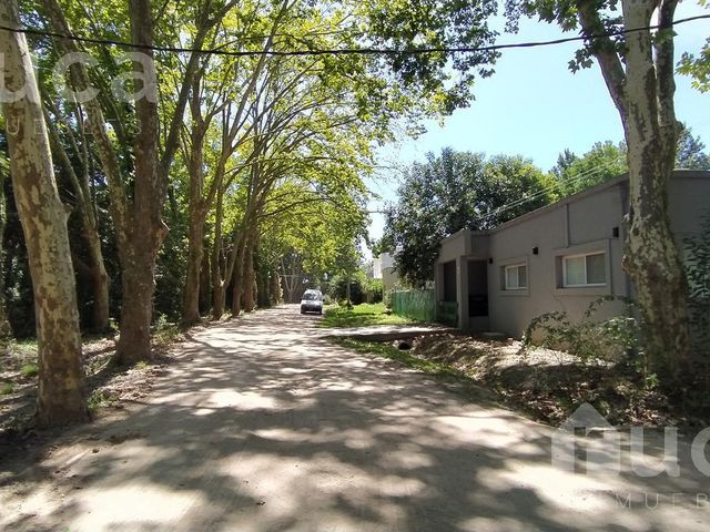 place photo 33