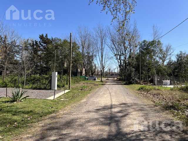 place photo 34