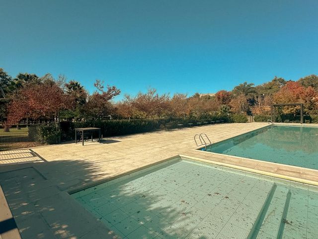 place photo 46