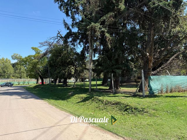 place photo 37