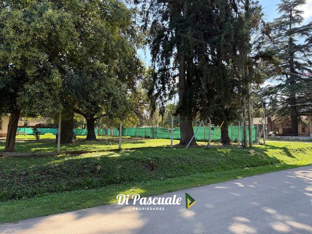 place photo 27
