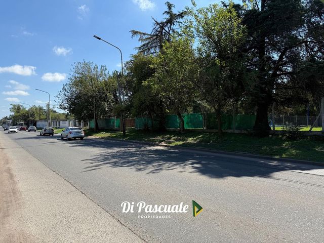 place photo 28