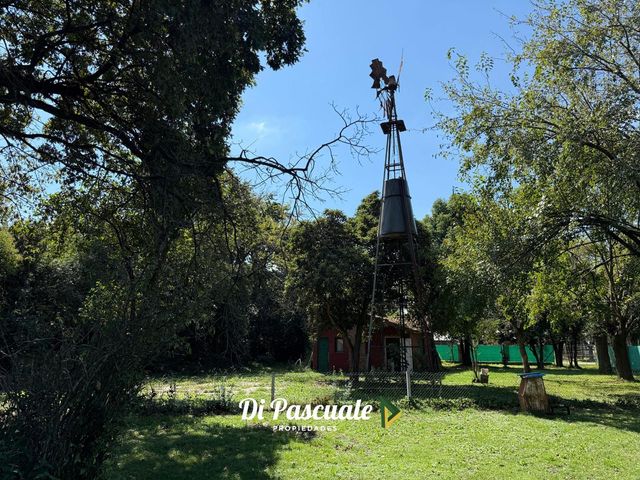 place photo 26