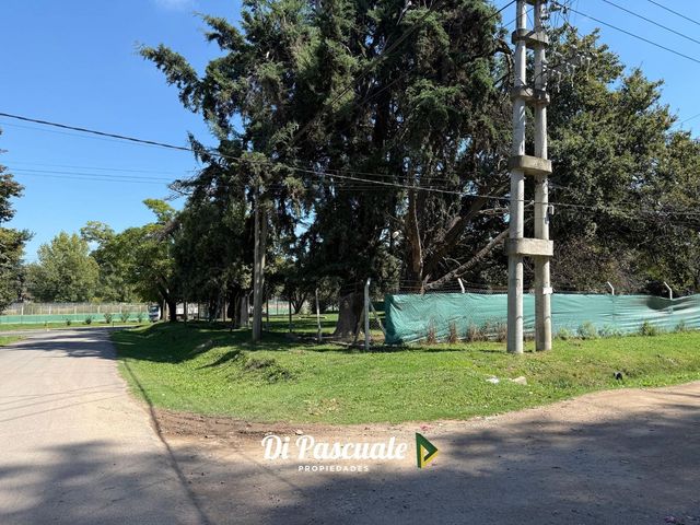 place photo 35
