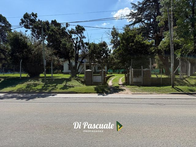 place photo 30
