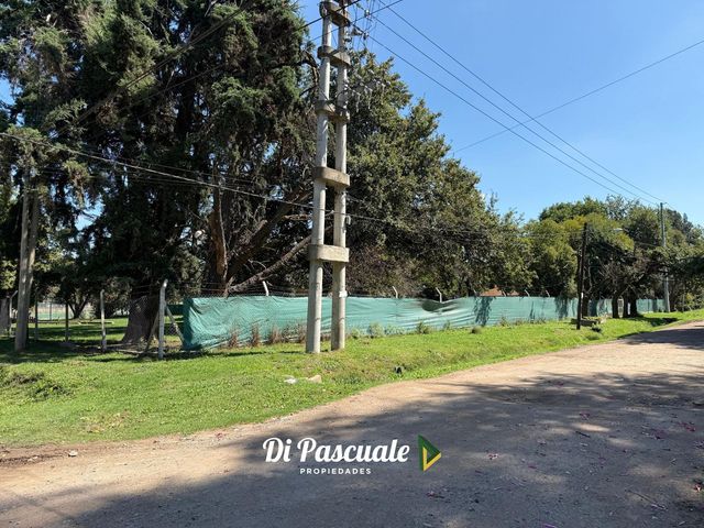 place photo 36
