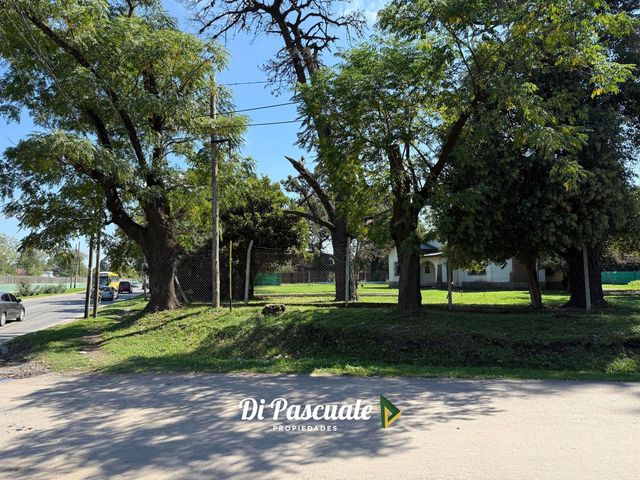 place photo 38