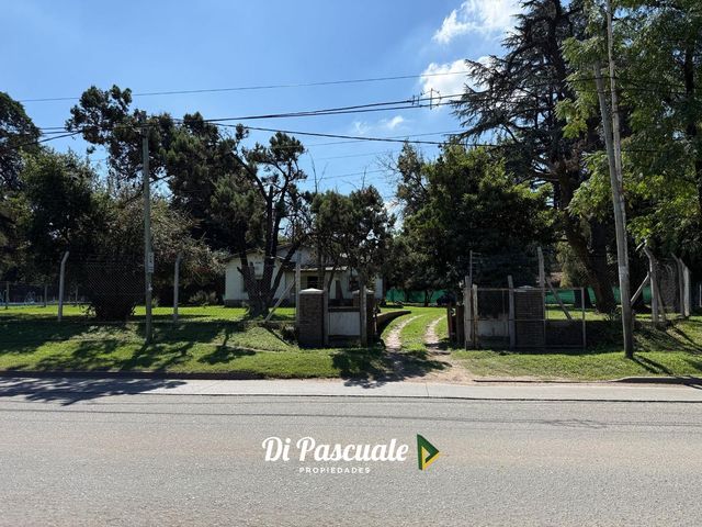 place photo 29