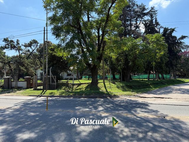 place photo 31