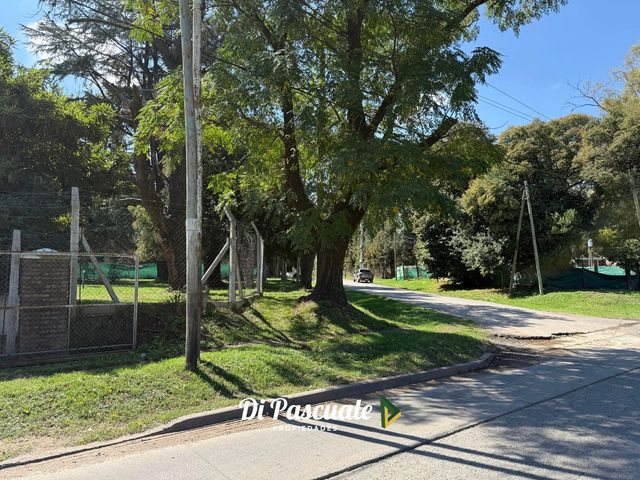 place photo 34
