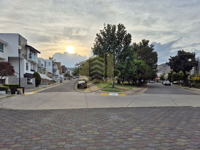 place photo 49