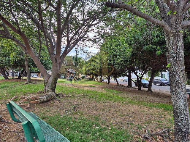 place photo 50