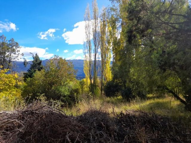 place photo 21