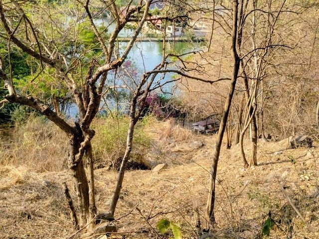 place photo 11
