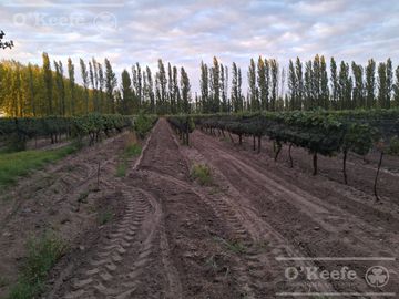 place photo 27