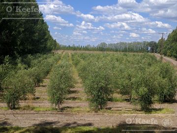 place photo 21